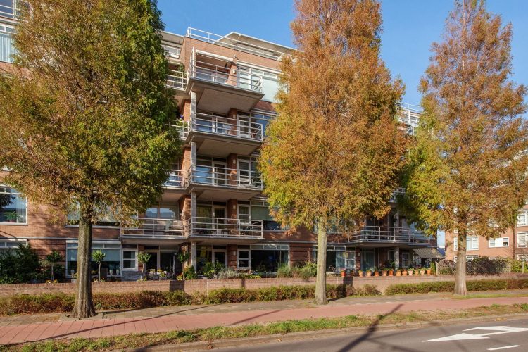 1-Buizerdlaan-155-Den-Uyl-Real-Estate-Makelaar-Amsterdam-Den-Haag